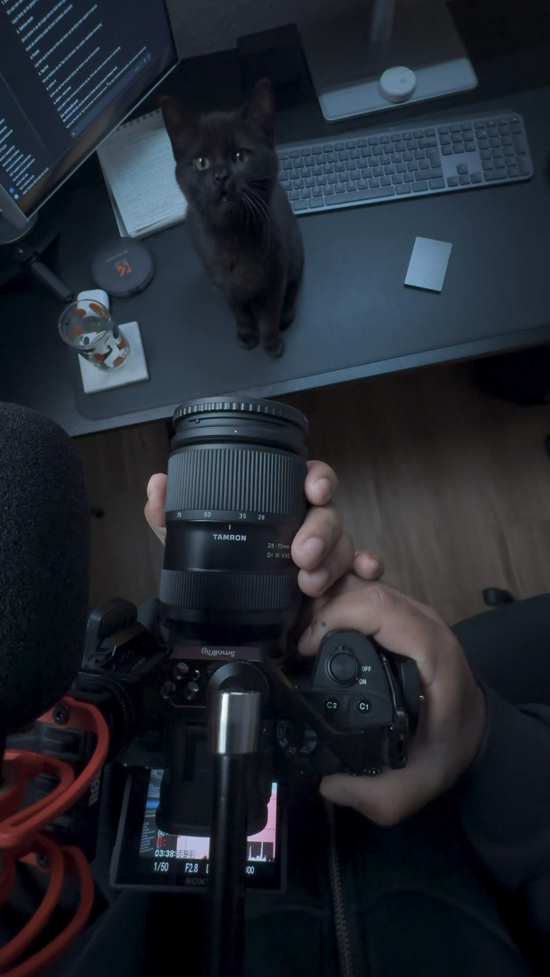 Kamera mit Objektiv in den Händen, eine Katze sitzt auf dem Schreibtisch